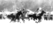 Race (Black & White, 35mm digitized)